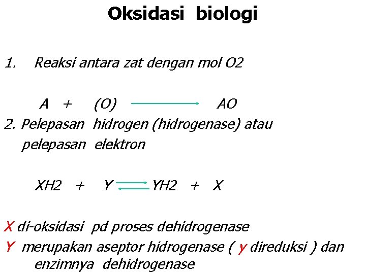 Oksidasi biologi 1. Reaksi antara zat dengan mol O 2 A + (O) AO
