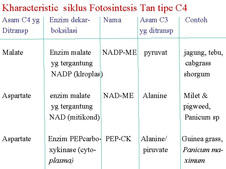 Kharacteristic siklus Fotosintesis Tan tipe C 4 Asam C 4 yg Ditransp Enzim dekarboksilasi