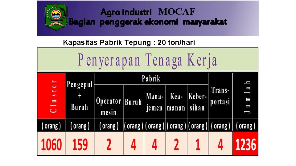 Agro industri MOCAF Bagian penggerak ekonomi masyarakat Kapasitas Pabrik Tepung : 20 ton/hari 