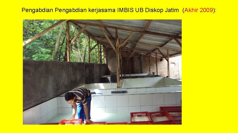 Pengabdian kerjasama IMBIS UB Diskop Jatim (Akhir 2009): 