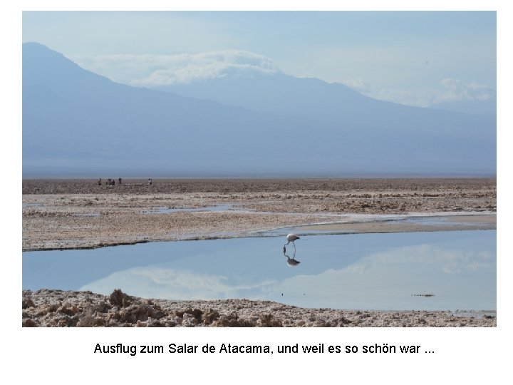 Ausflug zum Salar de Atacama, und weil es so schön war. . . 