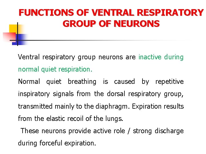 FUNCTIONS OF VENTRAL RESPIRATORY GROUP OF NEURONS Ventral respiratory group neurons are inactive during