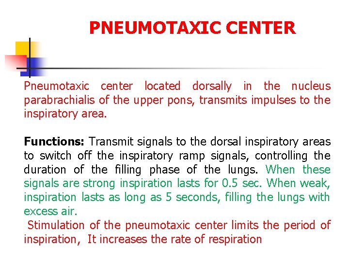 PNEUMOTAXIC CENTER Pneumotaxic center located dorsally in the nucleus parabrachialis of the upper pons,