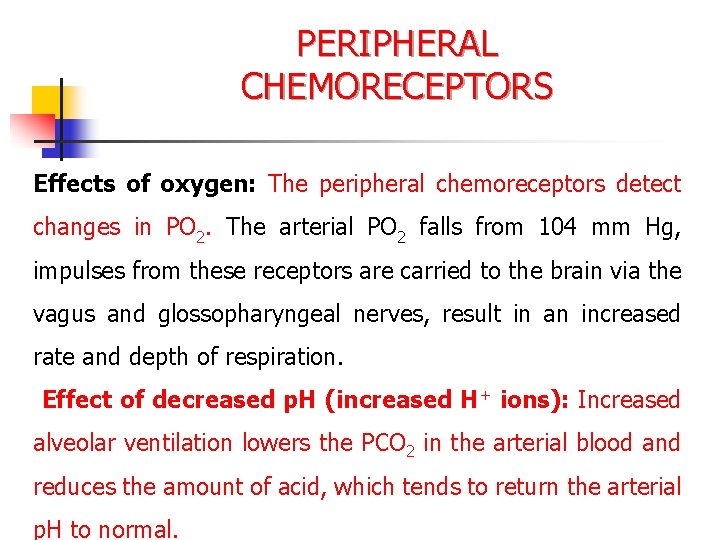 PERIPHERAL CHEMORECEPTORS Effects of oxygen: The peripheral chemoreceptors detect changes in PO 2. The