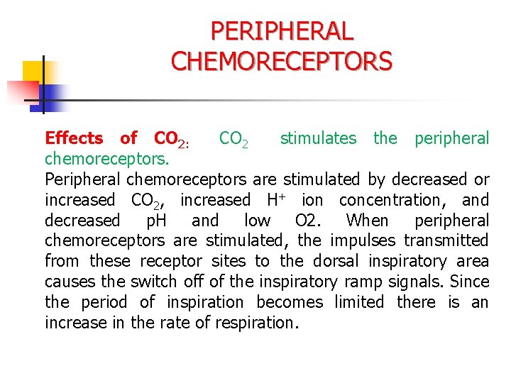 PERIPHERAL CHEMORECEPTORS Effects of CO 2: CO 2 stimulates the peripheral chemoreceptors. Peripheral chemoreceptors