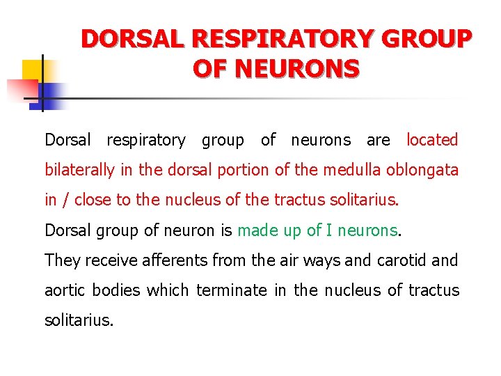 DORSAL RESPIRATORY GROUP OF NEURONS Dorsal respiratory group of neurons are located bilaterally in