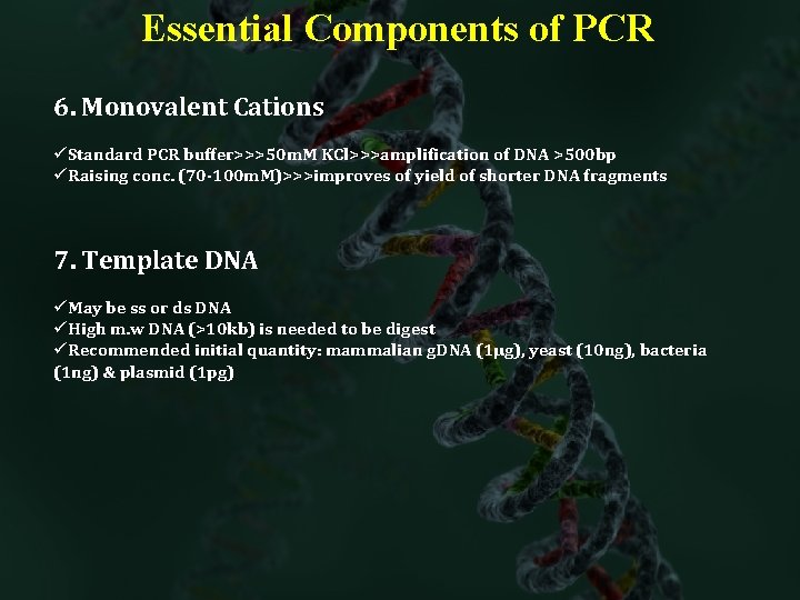 Essential Components of PCR 6. Monovalent Cations üStandard PCR buffer>>>50 m. M KCl>>>amplification of