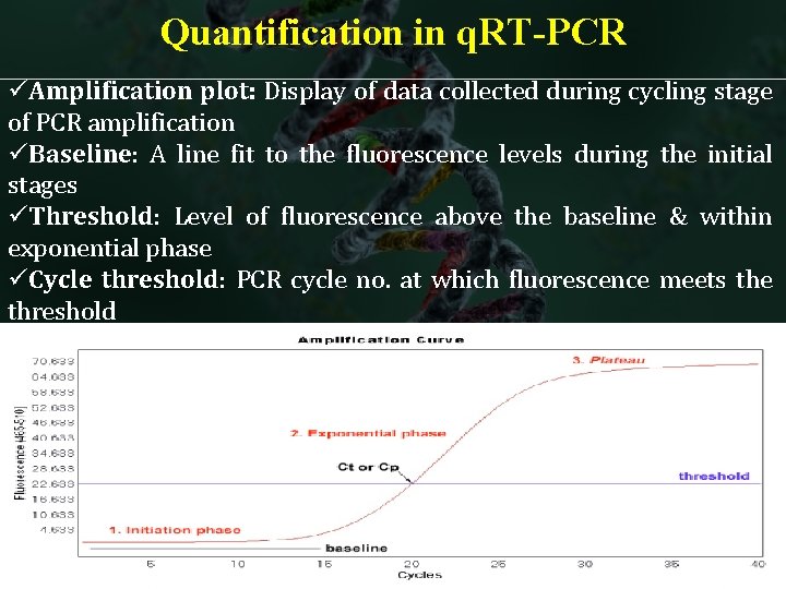 Quantification in q. RT-PCR üAmplification plot: Display of data collected during cycling stage of