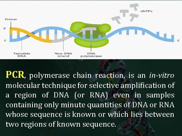 PCR, polymerase chain reaction, is an in-vitro molecular technique for selective amplification of a