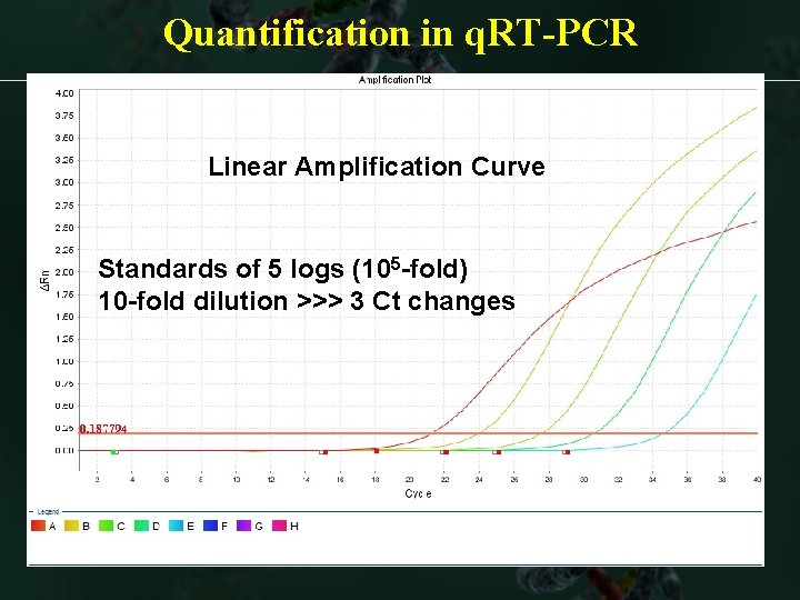 Quantification in q. RT-PCR Linear Amplification Curve Standard curve w eq Standards of 5