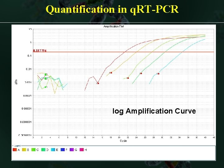 Quantification in q. RT-PCR log Amplification Curve 