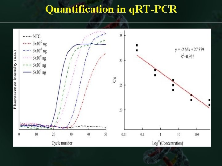 Quantification in q. RT-PCR Slope=-3. 345 R 2= 0. 995 Y-intercept=40. 645 Eff=99. 1%