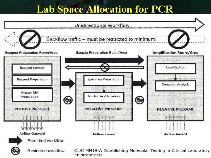 Lab Space Allocation for PCR MM Specimen PCR_Detection 