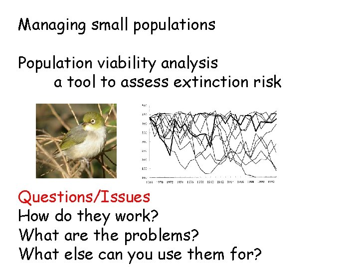 Managing small populations Population viability analysis a tool to assess extinction risk Questions/Issues How