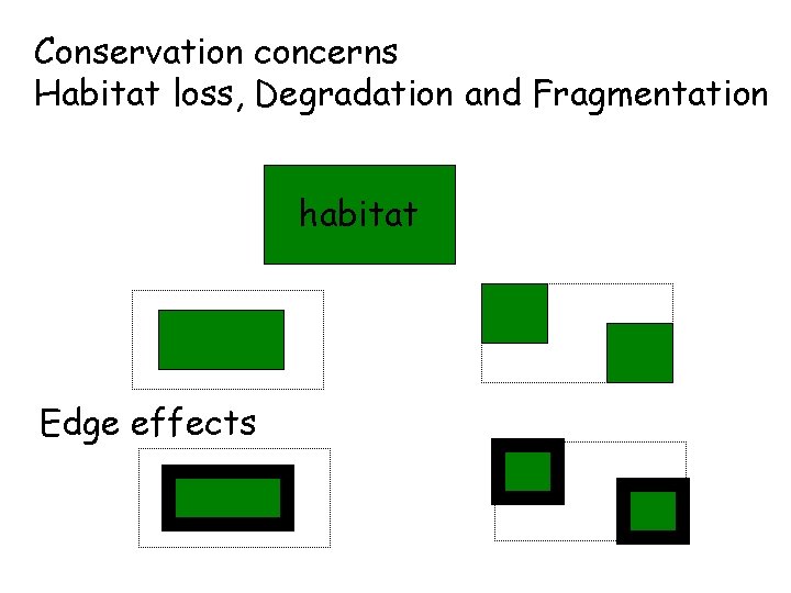 Conservation concerns Habitat loss, Degradation and Fragmentation habitat Edge effects 