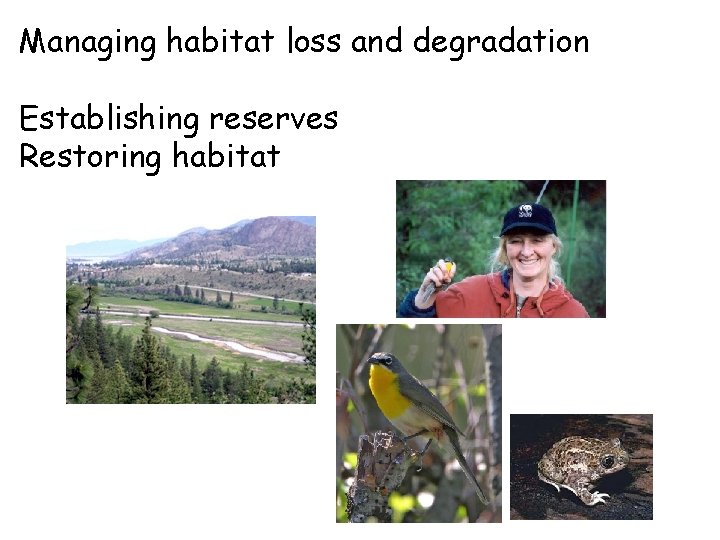 Managing habitat loss and degradation Establishing reserves Restoring habitat 