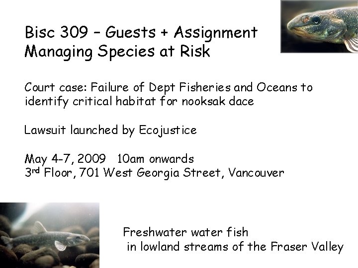 Bisc 309 – Guests + Assignment Managing Species at Risk Court case: Failure of