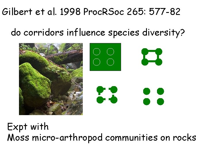 Gilbert et al. 1998 Proc. RSoc 265: 577 -82 do corridors influence species diversity?