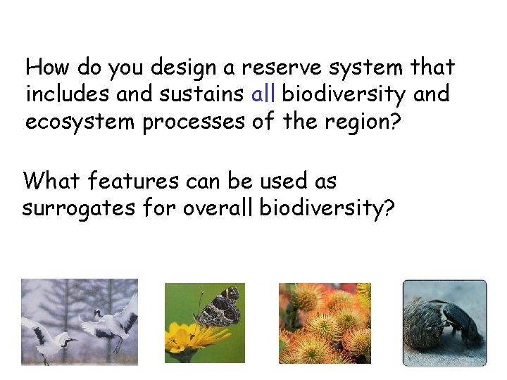 How do you design a reserve system that includes and sustains all biodiversity and