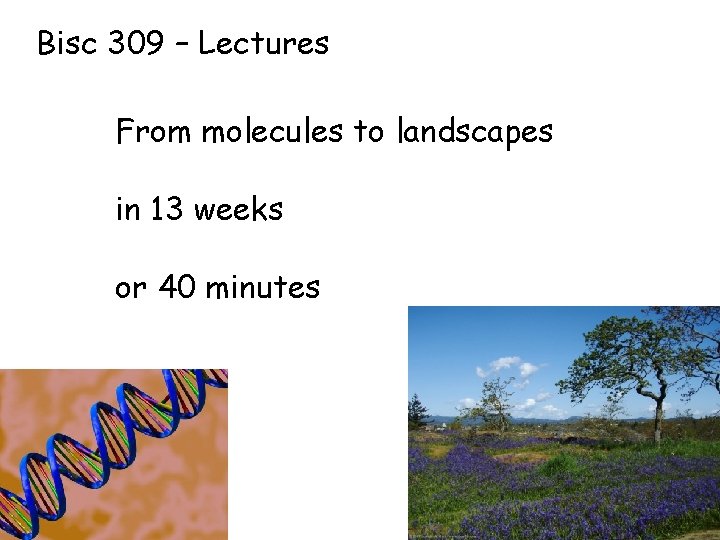 Bisc 309 – Lectures From molecules to landscapes in 13 weeks or 40 minutes