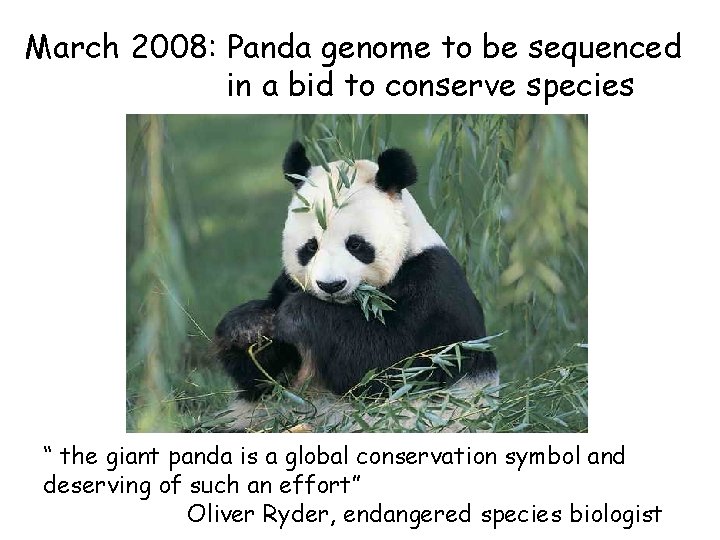 March 2008: Panda genome to be sequenced in a bid to conserve species “