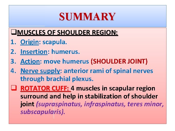 SUMMARY q. MUSCLES OF SHOULDER REGION: 1. Origin: scapula. 2. Insertion: humerus. 3. Action: