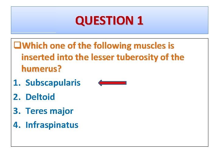 QUESTION 1 q. Which one of the following muscles is inserted into the lesser