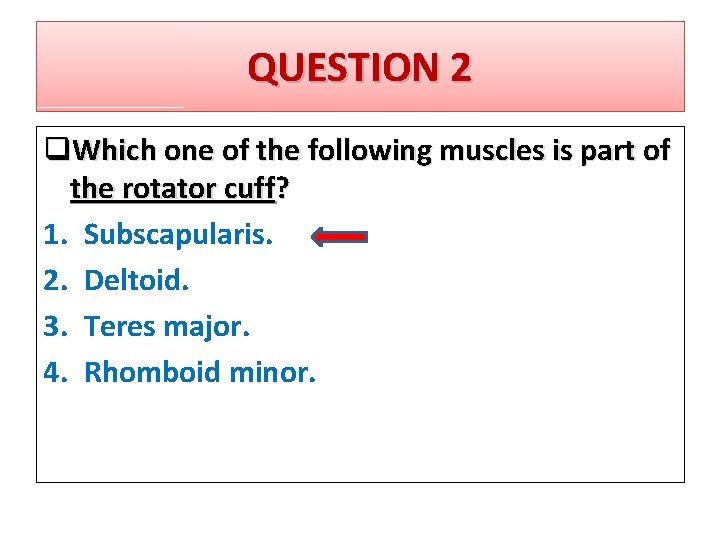 QUESTION 2 q. Which one of the following muscles is part of the rotator
