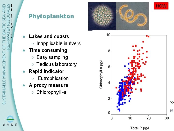 Taneli Duunari-Työntekijäinen, SYKE 28. 2. 2021 HOW Phytoplankton ● Lakes and coasts ○ Inapplicable