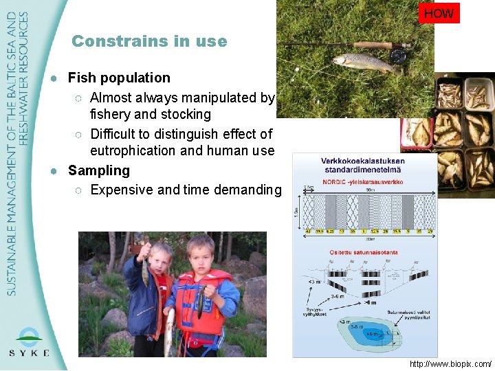 HOW Constrains in use ● Fish population ○ Almost always manipulated by fishery and