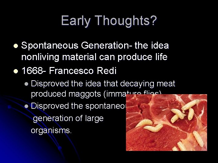 Early Thoughts? Spontaneous Generation- the idea nonliving material can produce life l 1668 -