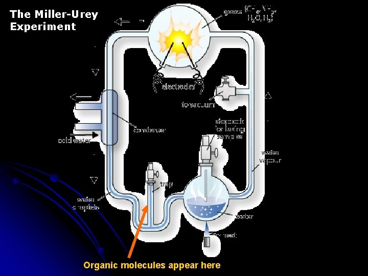 The Miller-Urey Experiment Organic molecules appear here 
