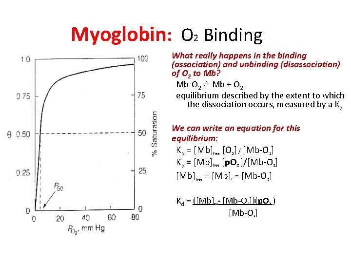 Myoglobin: O 2 Binding • What really happens in the binding (association) and unbinding