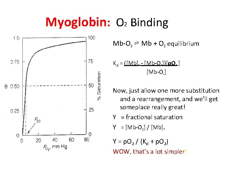 Myoglobin: O 2 Binding Mb-O 2 ⇌ Mb + O 2 equilibrium Kd =