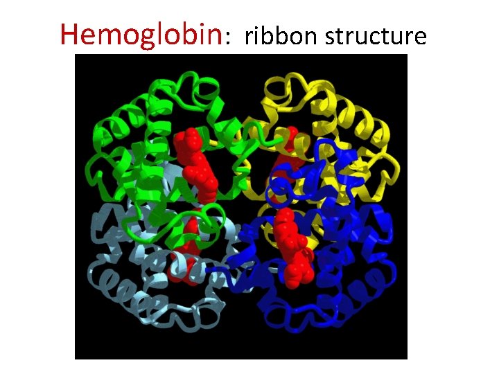 Hemoglobin: ribbon structure 