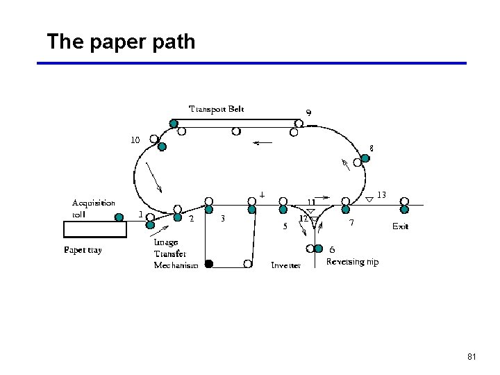 The paper path 81 