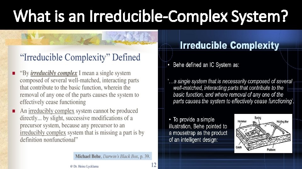 What is an Irreducible-Complex System? 