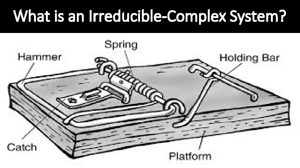 What is an Irreducible-Complex System? 