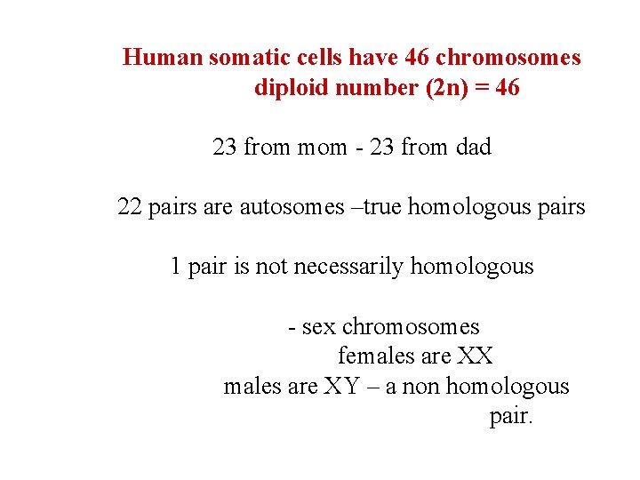 Human somatic cells have 46 chromosomes diploid number (2 n) = 46 23 from