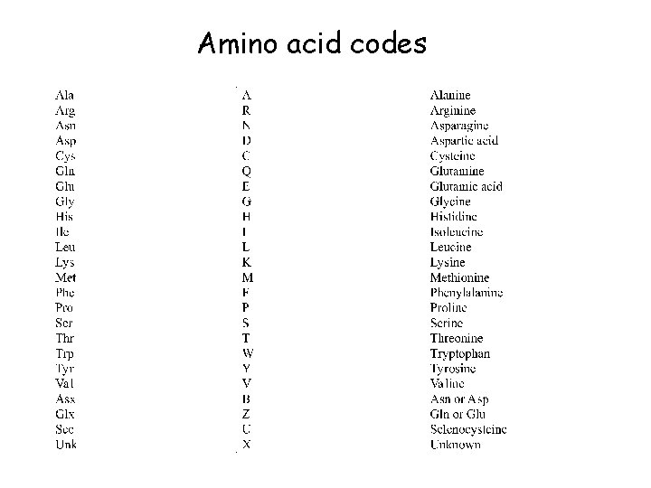Amino acid codes 