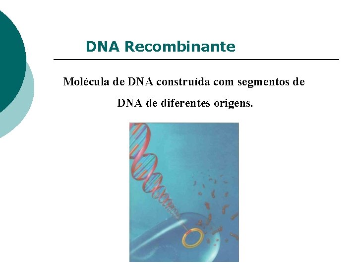 DNA Recombinante Molécula de DNA construída com segmentos de DNA de diferentes origens. 