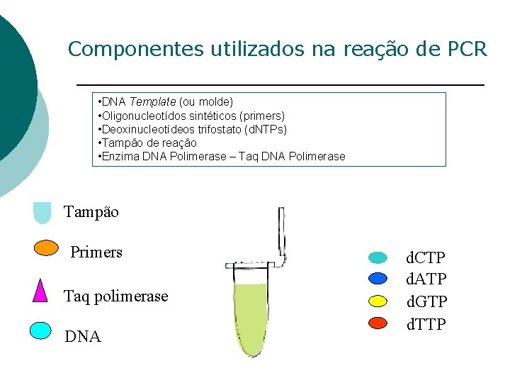 Componentes utilizados na reação de PCR • DNA Template (ou molde) • Oligonucleotídos sintéticos