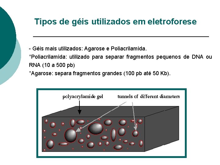 Tipos de géis utilizados em eletroforese - Géis mais utilizados: Agarose e Poliacrilamida. *Poliacrilamida: