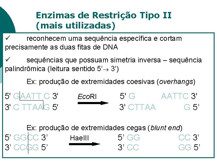 Enzimas de Restrição Tipo II (mais utilizadas) ü reconhecem uma sequência específica e cortam