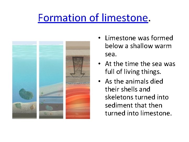 Formation of limestone. • Limestone was formed below a shallow warm sea. • At