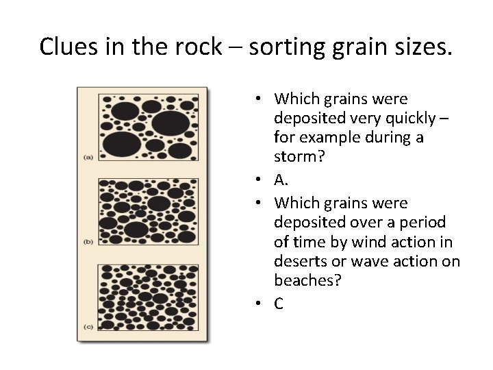 Clues in the rock – sorting grain sizes. • Which grains were deposited very