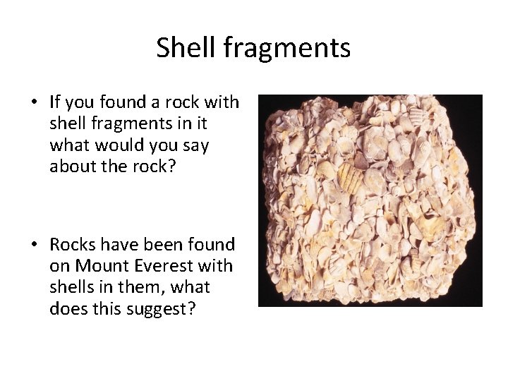 Shell fragments • If you found a rock with shell fragments in it what