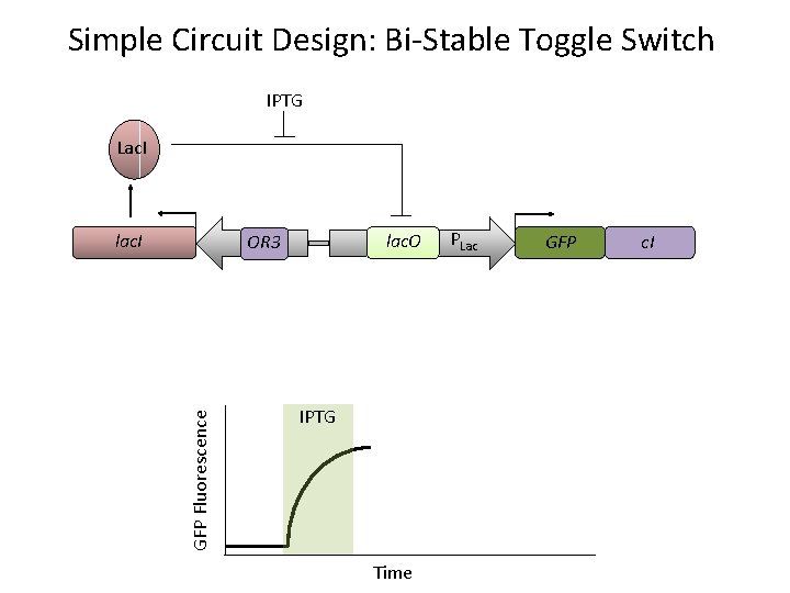 Simple Circuit Design: Bi-Stable Toggle Switch IPTG Lac. I lac. O GFP Fluorescence POR
