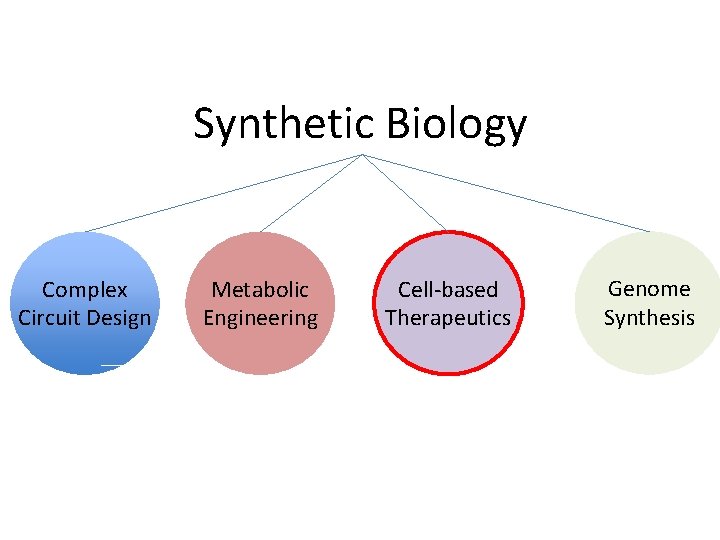 Synthetic Biology Complex Circuit Design Metabolic Engineering Cell-based Therapeutics Genome Synthesis 