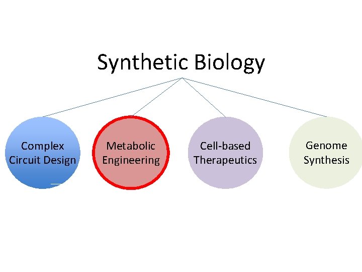 Synthetic Biology Complex Circuit Design Metabolic Engineering Cell-based Therapeutics Genome Synthesis 